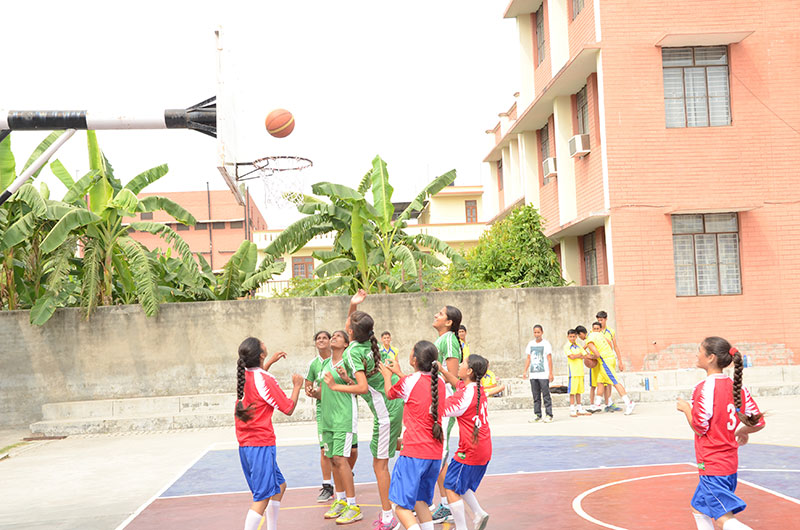 SPORTS - BASKETBALL 8