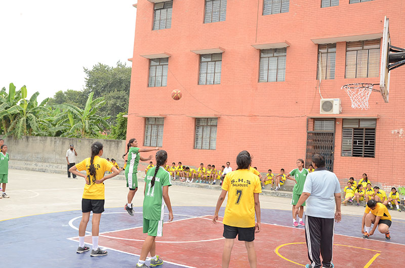 SPORTS - BASKETBALL 5