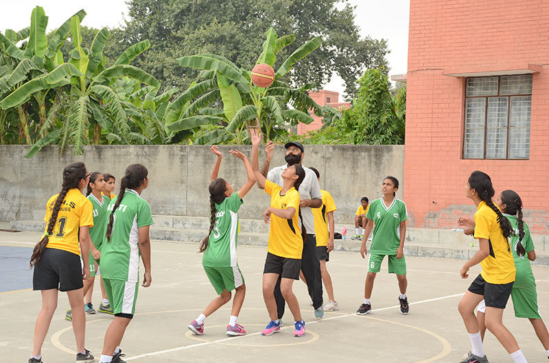 SPORTS - BASKETBALL 7