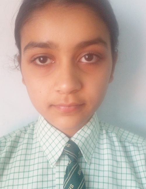 Gurshaan Grewal